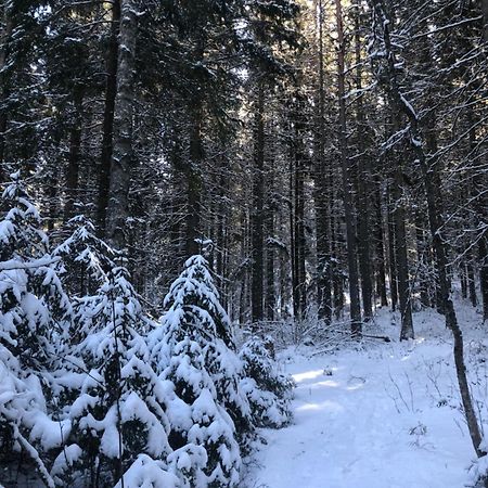 Järbo Kungsbergetnatur מראה חיצוני תמונה